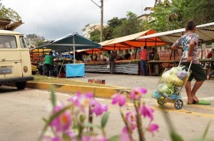 12834980_1665768227025945_301010174_n