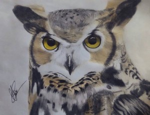 15423529_10207508405659372_1316202154_n