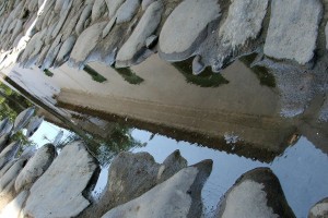 16683135_1262646163770703_1529302846_n