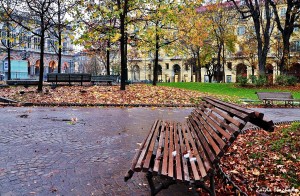 5525055573_55b55e3d23_b