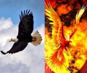 19489664_10208982428829030_1354868654_n