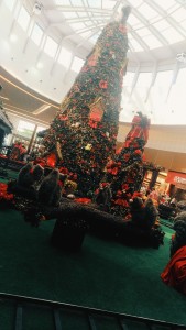 AirBrush_20181114104809