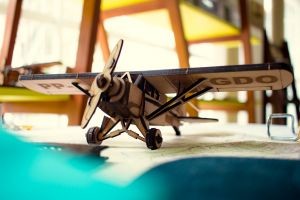 fdf0d60b5650a3d89d7fff7589a87333_medium